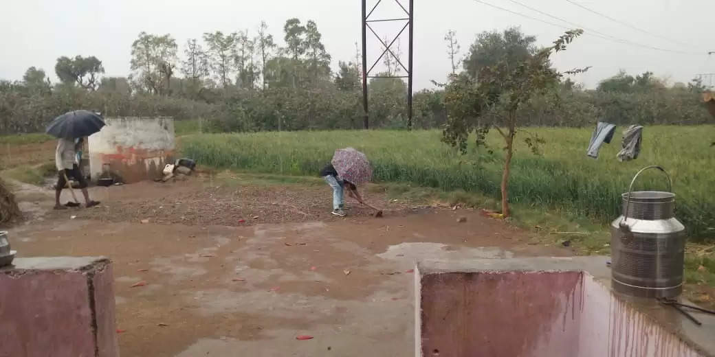 ડીસા: પંથકમાં વીજળીના કડાકા સાથે વરસાદ પડતા ખેડુતો ચિંતામાં ગરકાવ