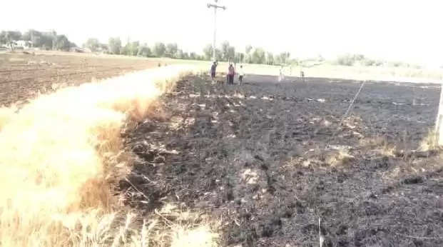 કાંકરેજ: ખોડા ગામે ખેતરમાં આગ લાગતા ઘંઉ બળીને ભસ્મિભૂત