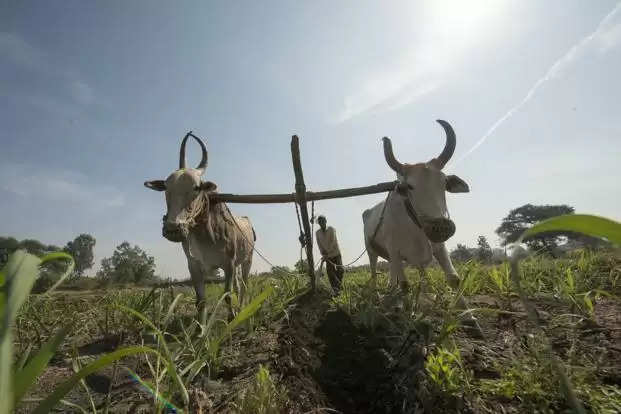 ચુંટણીઃ2019માં ભારતના ખેડૂતો ઈચ્છે તેની સરકાર બની શકે