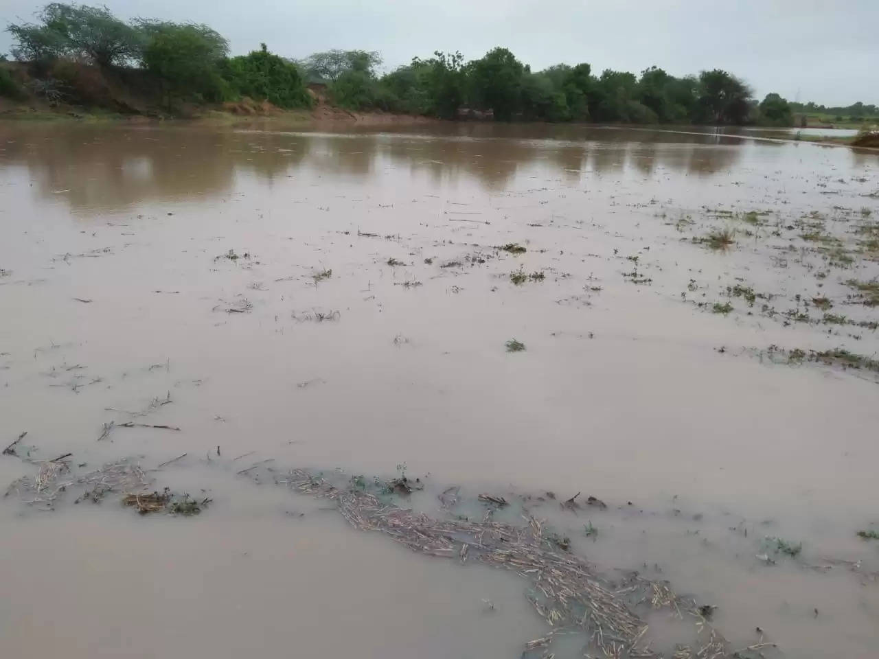 વરસાદ: ઉત્તર ગુજરાતમાં ચોમાસું જામ્યું, બનાસકાંઠામાં તળાવ ફાટ્યું