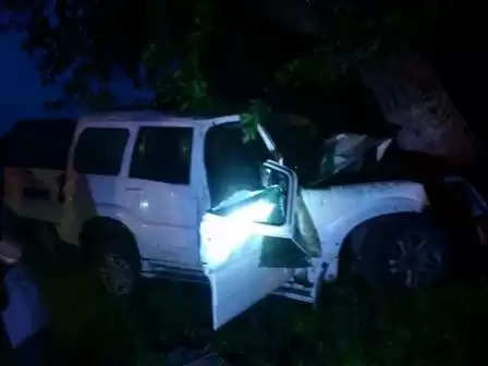 અકસ્માત@ડીસાઃ સ્કોર્પિયો ગાડી વહેલી સવારે ઝાડ સાથે અથડાઇ,એકનું મોત