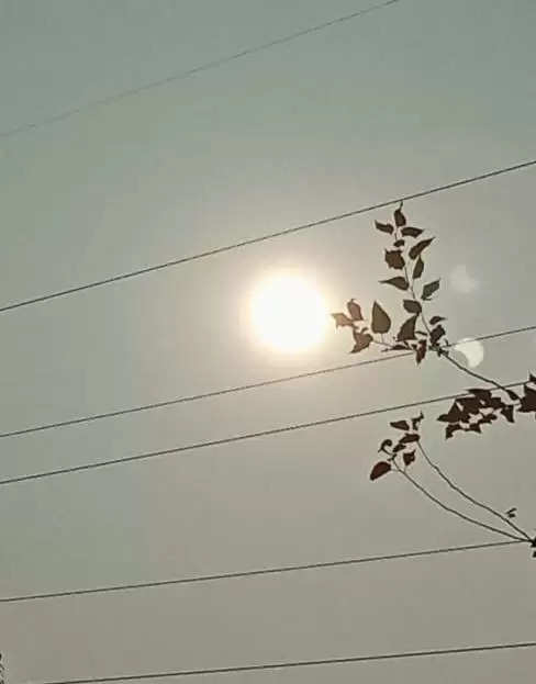 ગુજરાતઃ આજે સૂર્યગ્રહણની અલૌકિક ઘટના જોવા લોકો ઉમટ્યા