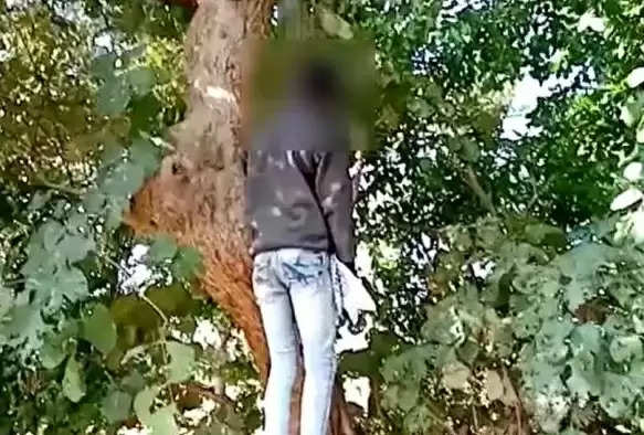 મહીસાગર: ઝાડ પર લટકેલી હાલતમાં કિશોરની લાશ મળી આવતા ચકચાર