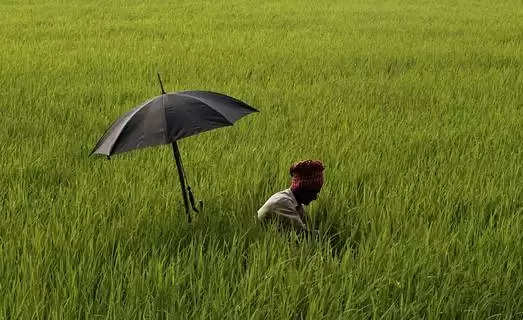 ખેડૂતો માટે રાહતના સમાચારઃ દેશના 660 જિલ્લામાં હવામાનની સ્પષ્ટ માહીતી મળશે