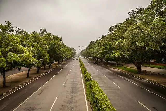ગાંધીનગર: જેટલા વૃક્ષો કપાય તેની સામે બમણા વૃક્ષોની વાવણીનો આદેશ