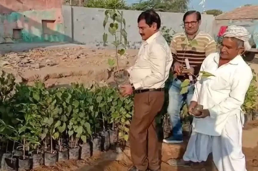 શિરવાડા ગામે 1100 પીંપળાના છોડવા રોપી “પીંપળવન”નું નિર્માણ કર્યું, સરાહનીય કાર્ય