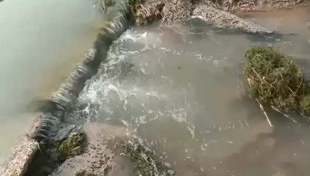 નર્મદા@રાધનપુર: માઇનોર કેનાલમાં ગાબડું, પાકમાં પાણી ફરી વળતાં નુકશાન