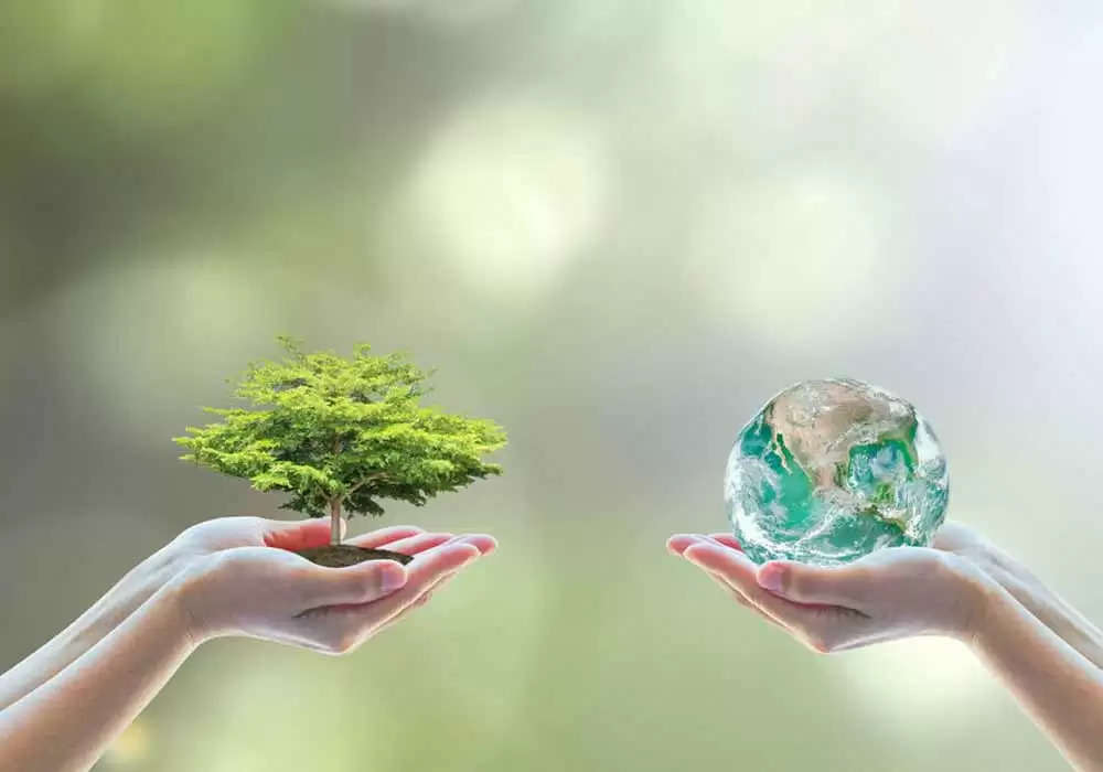 સ્પેશ્યલ@દેશ: આજે વિશ્વ પર્યાવરણ દિવસ, પ્રદુષણમુક્ત વાતાવરણ માટે વૃક્ષો વાવીએ