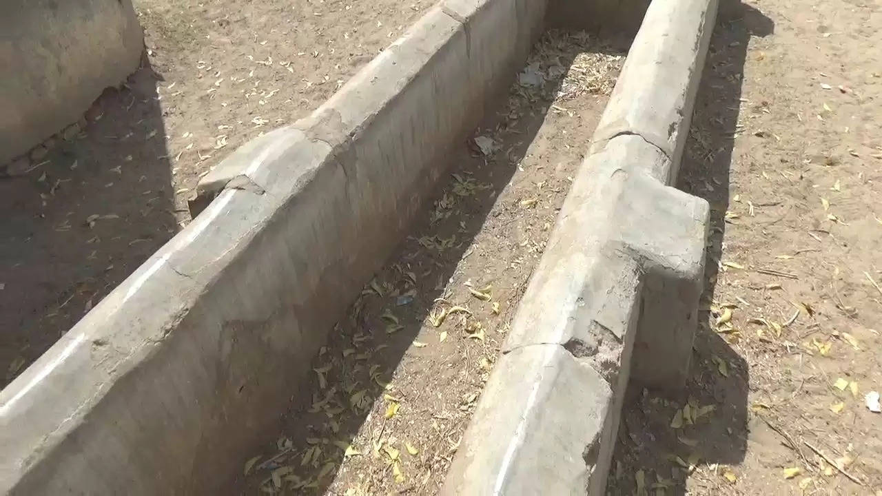 કાંકરેજ: સાકરીયા ગામમાં પાણી માટે અભિશાપ કે સરકારની લાલિયાવાડી