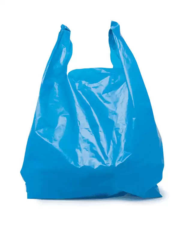 રાજ્યમાં પ્લાસ્ટિક બેગનો પ્રતિબંધિત છતાં બેરોકટોક વેચાણ