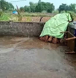 રીપોર્ટ@બનાસકાંઠા: અંબાજી-સુઇગામના વાતાવરણમાં પલટો, અચાનક વરસાદ આવ્યો