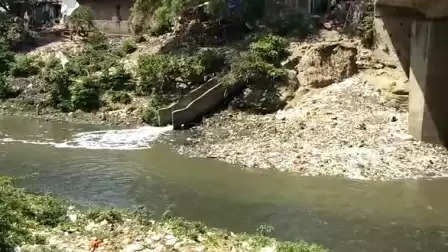 ચિંતા@વડોદરાઃ કાર્યકરે ગંદકીથી ભરેલી વિશ્વામિત્રી નદીને સ્વચ્છ કરવા માંગ કરી