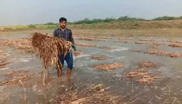 નર્મદા@રાધનપુર: માઇનોર કેનાલમાં ગાબડું, પાકમાં પાણી ફરી વળતાં નુકશાન