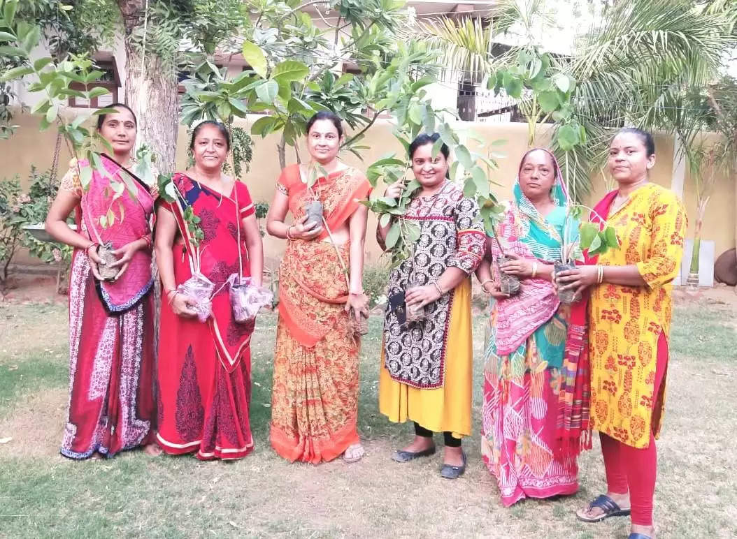 ધાનેરા: ભારત વિકાસ પરિષદ મહિલા પાંખ દ્વારા વૃક્ષારોપણ કરાયુ