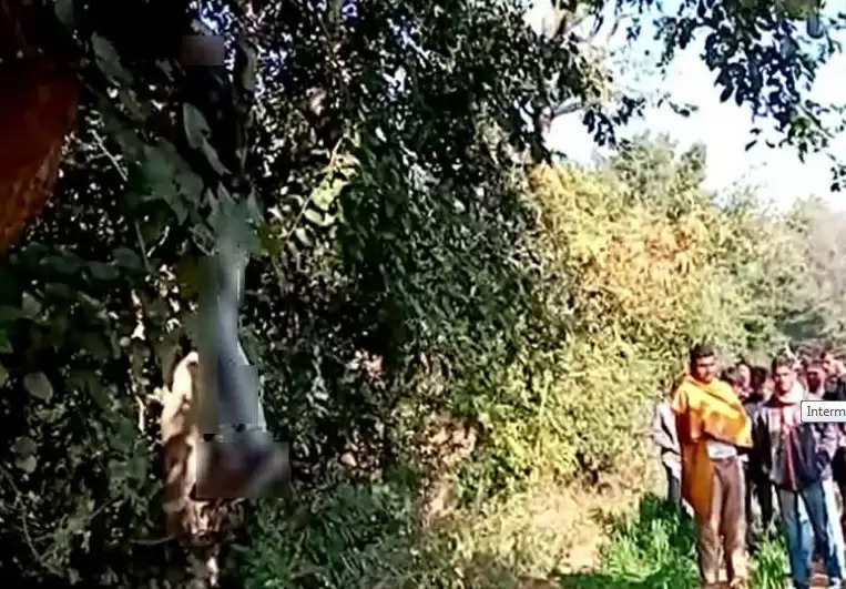 મહીસાગર: ઝાડ પર લટકેલી હાલતમાં કિશોરની લાશ મળી આવતા ચકચાર