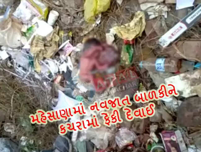 ઘટસ્ફોટ@મહેસાણા: જન્મ છુપાવવા બાળકીને કચરામાં ફેંકી હતી, અત્યંત ગંભીર