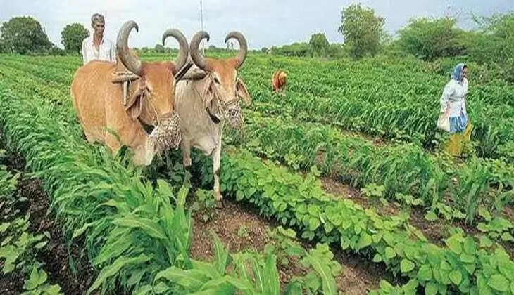 ઝીરો બજેટ પ્રાકૃતિક ખેતી શિબિરનું 8 થી 13 જાન્યુઆરી સુધી આયોજન