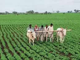દેશઃ ખેડૂતો માટે ખુશીના સમાચાર, આ રાજ્યમાં સરકારે 12,110 કરોડની કૃષિ લોન માફ કરી