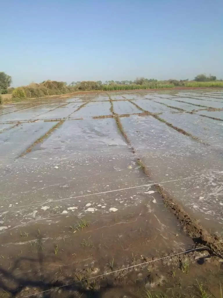 ગંભીર@સુઇગામઃ કેનાલમાં ગાબડું પડતાં ખેતરમાં પાણી ફરી વળ્યા, ખેડૂતોમાં રોષ