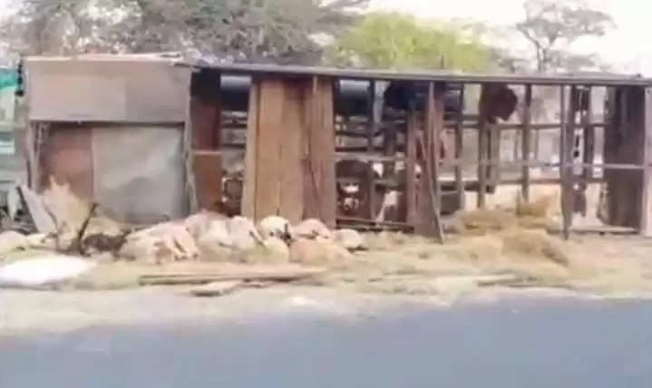 ખળભળાટ@પાલનપુર: માલવાહક ટ્રકને ભયાનક એક્સિડન્ટ, એકસાથે 38 ઘેટાં બકરાંના મોત