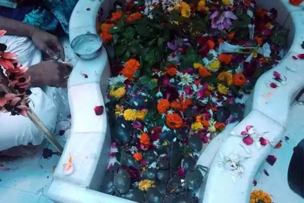 ગુજરાતઃ આ સ્થળે મંદિરમાં શિવજીને જીવતા કરચલા ચઢાવવામાં આવે છે