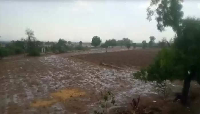 ચિંતા@ગુજરાત: આગાહી વચ્ચે આ જગ્યાએ પડ્યો વરસાદ, કૃષિપાકને નુકશાનની સંભાવના