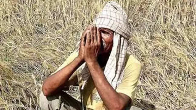 ગુજરાતના ખેડૂતોને રાહતઃ કેન્દ્ર સરકારે 130 કરોડનું રાહત પેકેજ મંજૂર કર્યું