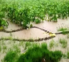 રીપોર્ટ@સુરેન્દ્રનગર: ઉપરવાસમાં વરસાદથી ડેમ ઓવરફ્લો, ખેતરો જળબંબાકાર