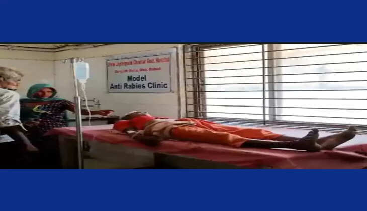 બનાવ@દાહોદ: ખેતરમાં કામ કરતી મહિલા પર દીપડાએ અચાનક હુમલો કર્યો