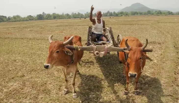 Farmer