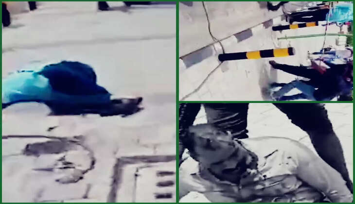 રિપોર્ટ@ગુજરાત: 3 પશુપાલકોએ ઢોર ડબ્બા પાર્ટીના  કર્મચારીઓ પર લાકડી અને પથ્થરોથી હુમલો કર્યો