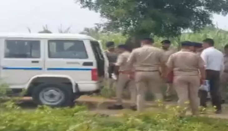 કાર્યવાહી