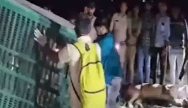ઘટના
