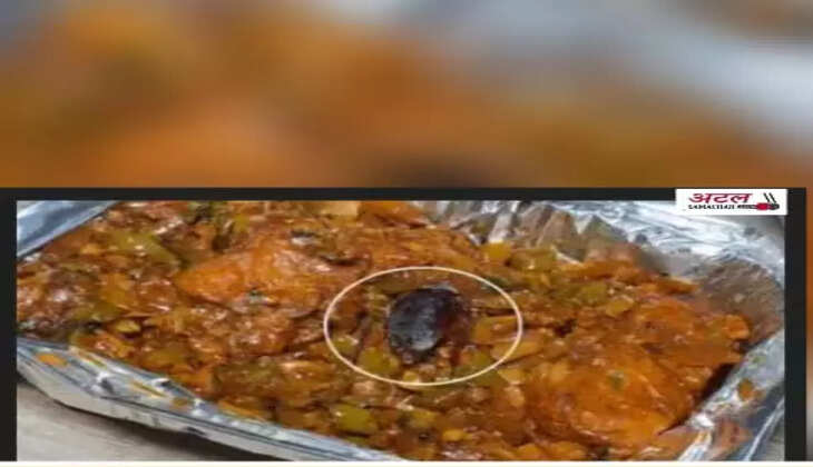 રિપોર્ટ@નડિયાદ: પનીર ચિલીમાંથી મરેલો વંદો નીકળતા ગ્રાહક ચોંક્યો, 10 હજારના દંડ બાદ હોટલ સીલ