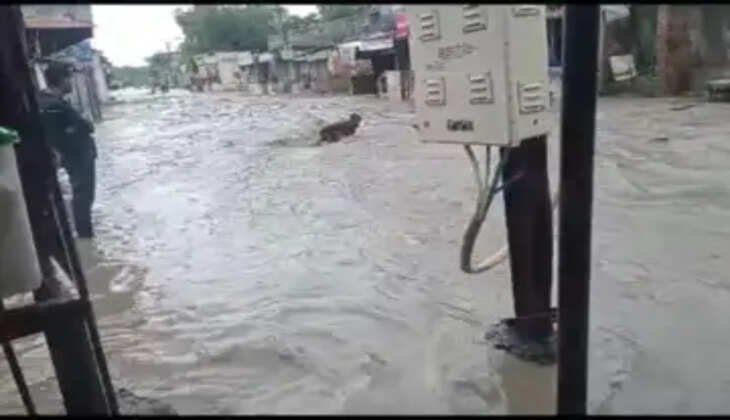 વરસાદ@અમરેલી: પાણીના ભારેખમ પ્રવાહથી લોકો ચોંક્યા, જ્યારે વાહનોની હાલત રમકડાં જેવી બની