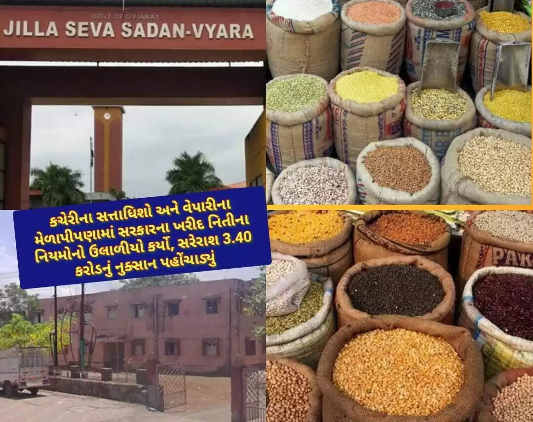 તાપી