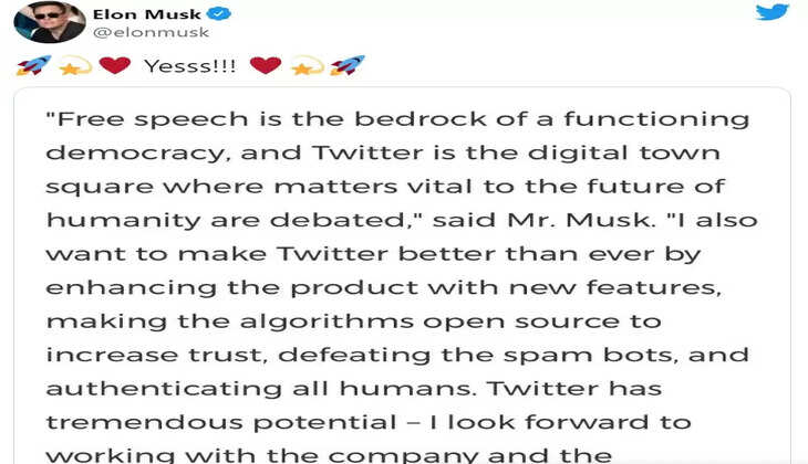 elen musk