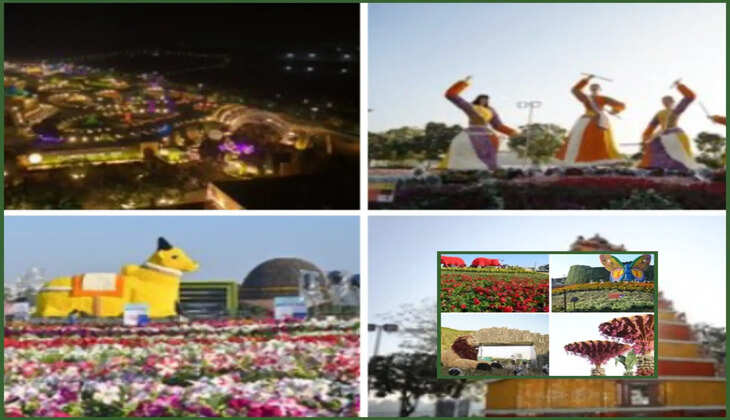 રિપોર્ટ@ગુજરાત: વડાપ્રધાન નરેન્દ્ર મોદીએ અમદાવાદ ઇન્ટરનેશનલ ફ્લાવર શોની ઝલક શેર કરી