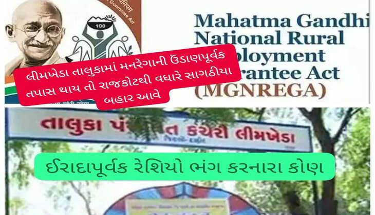 વહીવટ@લીમખેડા: TDO રાજમાં 3 વર્ષથી મનરેગા કૌભાંડ, એસીબી ઉતરે તો સાગઠીયાને ઝાંખા પાડતાં કૌભાંડી નિકળે