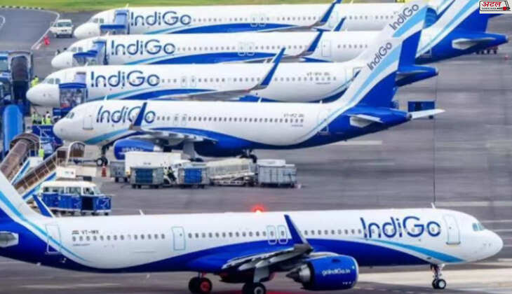 ઇન્ડિગો