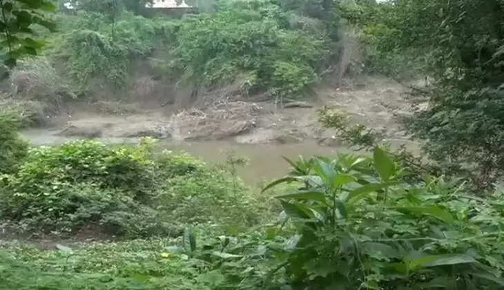 જમીન
