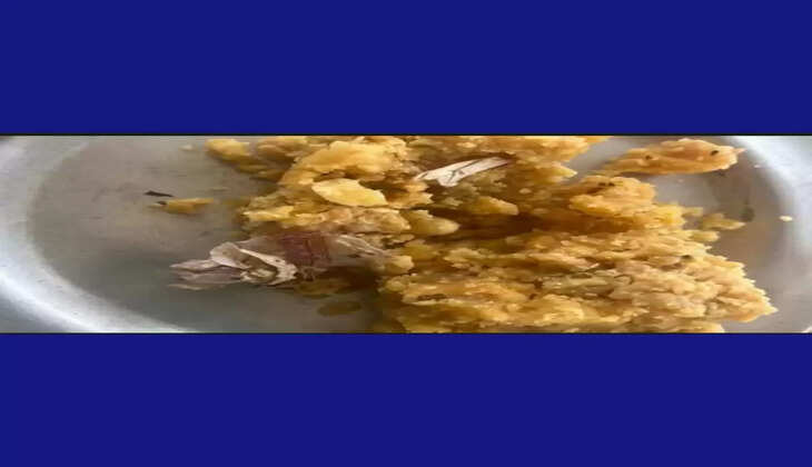 વિવાદ@દેશ: મહિલાએ આરોપ લગાવ્યો કે લાડુની અંદરથી તમાકુનો ભૂકો મળ્યો