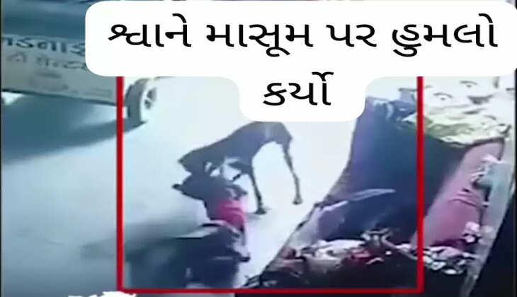 બનાવ@સુરત: 6 વર્ષનો બાળક ઘસઘસાટ ઊંઘમાં હતો ત્યારે શ્વાને માસૂમ પર હુમલો કર્યો