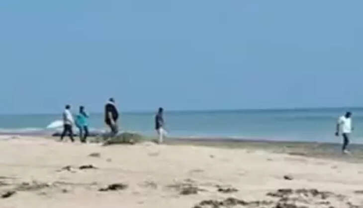 ડ્રગ્સ