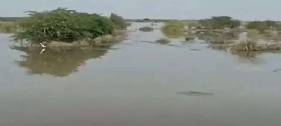 Narmada Canal 