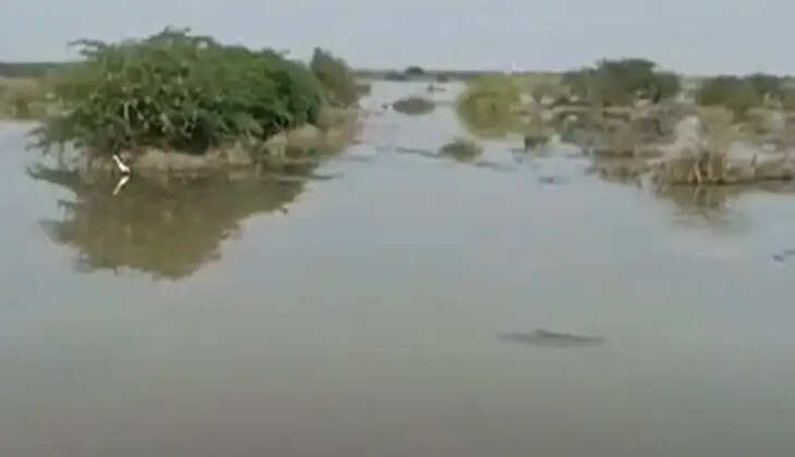 Narmada Canal