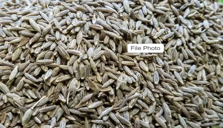 cumin