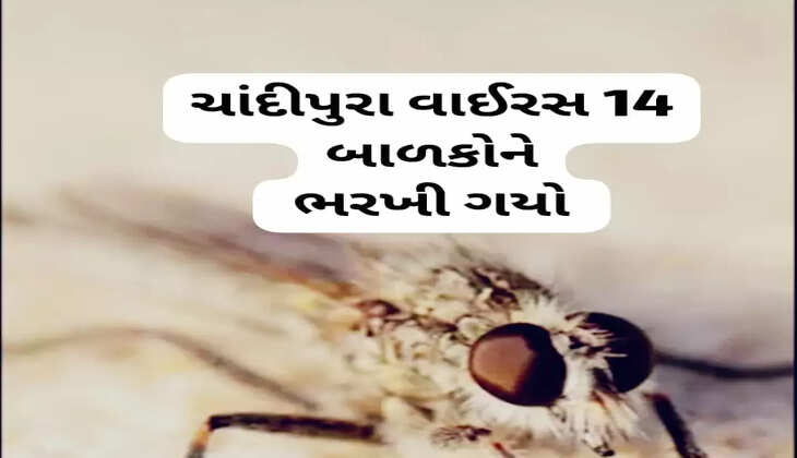 રિપોર્ટ@ગુજરાત: ગુજરાતમાં ચાંદીપુરા વાઈરસે હાહાકાર મચાવ્યો, 14 બાળકોને ભરખી ગયો