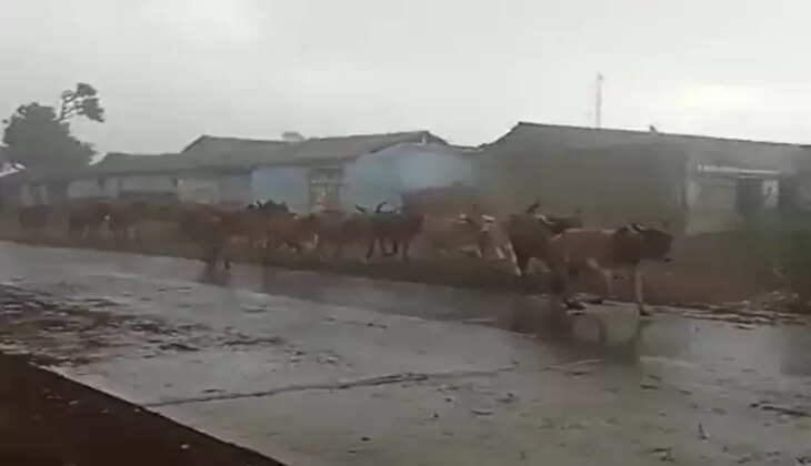 વરસાદ