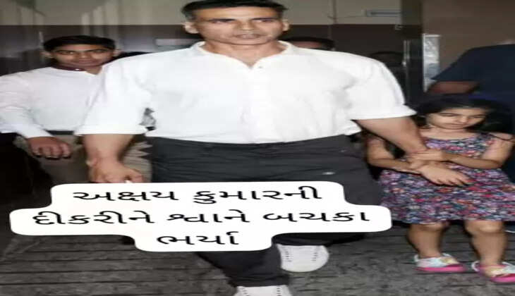 પાલતુ કૂતરો નિતારાને કરડ્યો